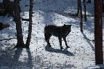 016_2009-0214-1401-17.jpg